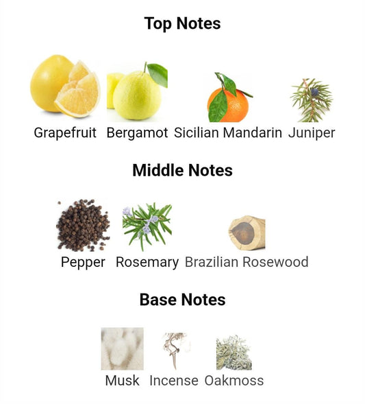 Lacoste Original Lacoste