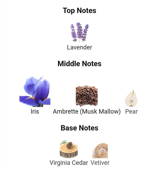 DIOR HOMME INTENSE 2011 DIOR