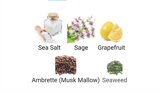 JO  MALONE LONDON (SEA SALT)