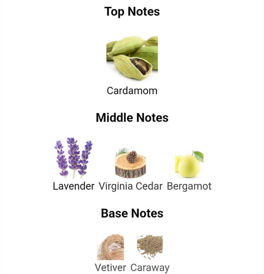 LA NUIT DE IHOME YVES SAINT