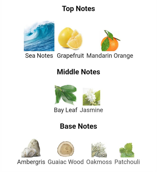 INVICTUS RABANNE FOR MEN