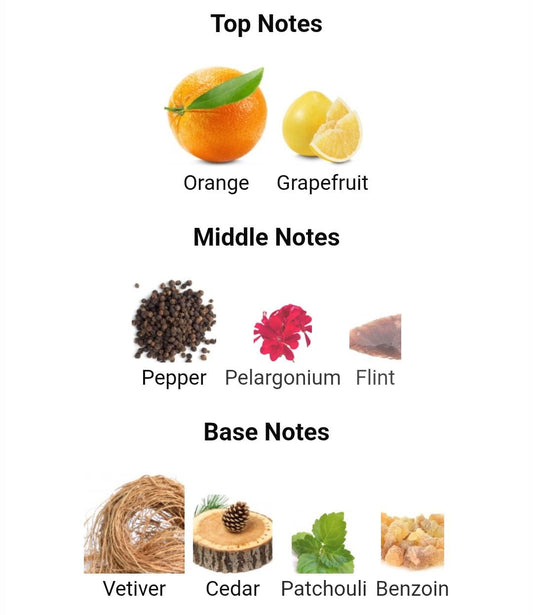 LIGHT BLUE POUR HOMME DOLCE&GABBANA